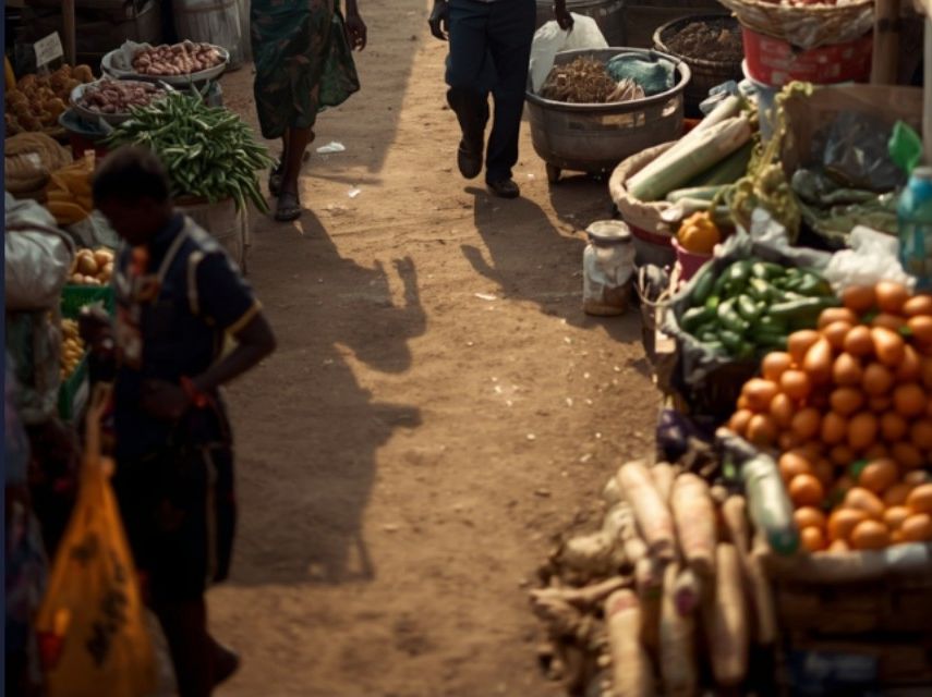 Food Importation & Distribution Business